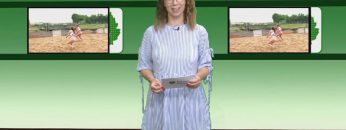 Bei Uns Daham” Sendung Vom 27.06.2019 W4tv146