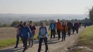 Wandertag Der NÖ Landarbeiterkammer In Hollabrunn 2024